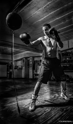 Крутой Парень — стоковые фотографии и другие картинки Бокс - спорт - Бокс -  спорт, Юмор, Активный образ жизни - iStock