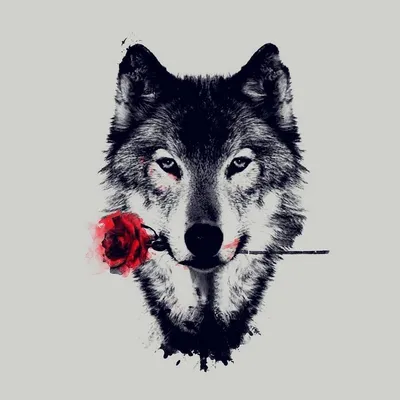 Создать мем \"wolf, картина, крутые логотипы фиолетовый волк\" - Картинки -  Meme-arsenal.com