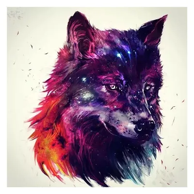 Рисунок волка | Пикабу