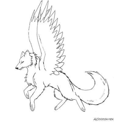 Волк с крыльями рисунок для срисовки - 76 фото