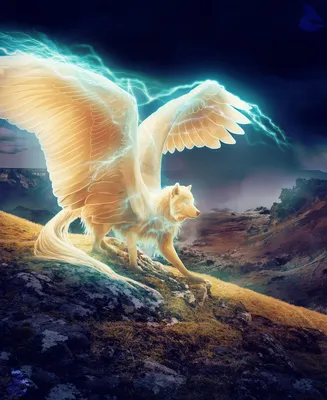 Фото Фантастический волк с крыльями, by Nikkayla