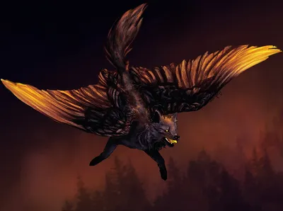 Картинки волк Крылья Фантастика летит Волшебные животные