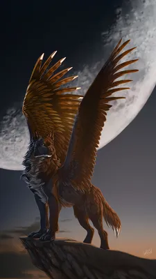 Картинки Волки Крылья Фэнтези Луна Ночь Волшебные животные 1080x1920