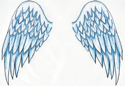 Крылья черные крылья ангела простые PNG , крыло, черный, ангел PNG картинки  и пнг PSD рисунок для бесплатной загрузки