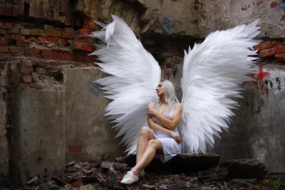 Крылья ангела в аренду - Partyhard