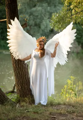 Крылья ангела , малефисенты для фотосессии, цена Договорная купить в Орше  на Куфаре - Объявление №115671032