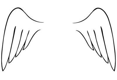 Чёрные крылья ангела для фотосессий в интернет-магазине Ярмарка Мастеров по  цене 10500 ₽ – M345URU | Реквизит для аниматоров, Сочи - доставка по России
