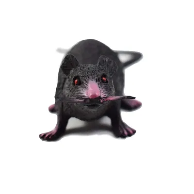 Да, я крыса: лучшие мемы с грызунами - Рамблер/новости