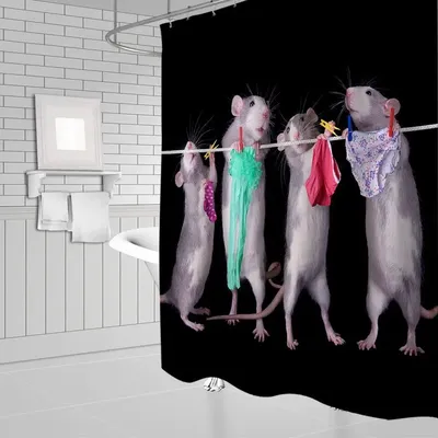 Забавные крысы, подвесные украшения для одежды, черная душевая занавеска,  креативная мышь с животными | AliExpress