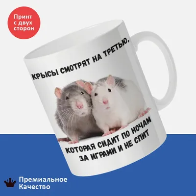 Кружка Мем, крысы смотрят на третию прикол | AliExpress