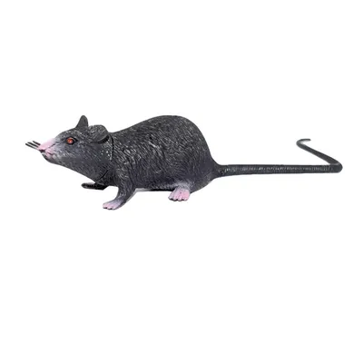 Картинки Юмор Кошки Крысы Шлем Смешные Сыры Животные Черный фон
