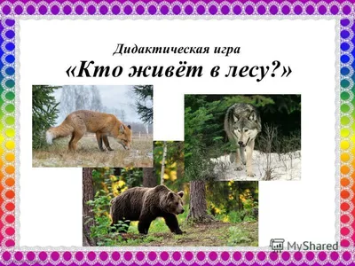 ЛЕКСИЧЕСКАЯ ТЕМА НЕДЕЛИ «ДИКИЕ ЖИВОТНЫЕ ЗИМОЙ» | ВКонтакте
