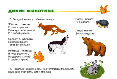 Сколько диких животных живет близ Яйлю и кто добыл зайца?» — Алтайский  биосферный заповедник