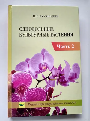 Культурные растения картинки - 42 фото