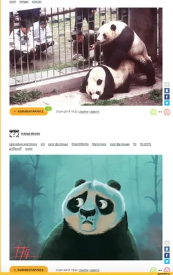 anon панды коитус красивые картинки art кунг-фу панда DreamWorks Мультики кунг  фу панда Ро По (KFP / так вышло :: панды / смешные картинки и другие приколы:  комиксы, гиф анимация, видео, лучший