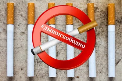 Вред курения на организм человека: дополнительные аргументы, какой вред  наносят здоровью электронные сигареты и пассивное курение