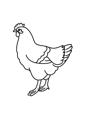 петух с курицей и цыплятами на белом фоне Иллюстрация вектора - иллюстрации  насчитывающей поголовье, концепция: 223018780
