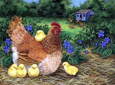 Курица с цыплятами картинка