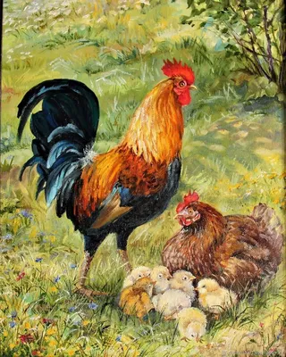 Скачать 1152x864 курица, цыплята, прогулка, детеныши, птицы обои, картинки  стандарт 4:3