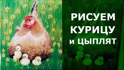 Курица С Цыплятами — стоковые фотографии и другие картинки Без людей - Без  людей, Весна, Горизонтальный - iStock