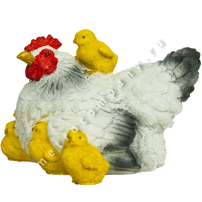 Курица с цыплятами младенца Стоковое Фото - изображение насчитывающей  ангстрома, ферма: 125728580