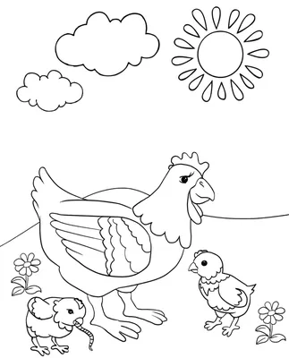 Может ли курица высидеть цыплят зимой | Птица дома | Дзен