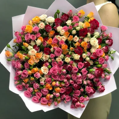Персиковые Кустовые Розы [Доставка Цветов] DREVO