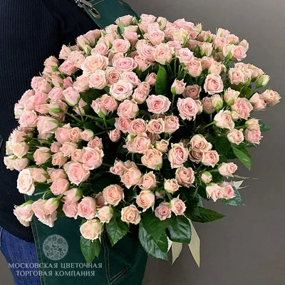 Кустовые розы с эвкалиптом купить в Москве с доставкой от Пегас фловерс 24  часа