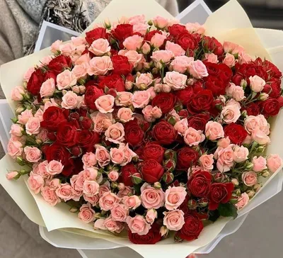 Букет из красных кустовых роз (19 шт) купить с доставкой в  интернет-магазине за 5489р. Позиция № 158