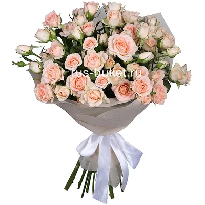 Купить букет из кустовых роз 5399 р. в интернет магазине Модный букет с  доставкой по Москве