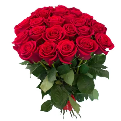 Букет из 35 кустовых пионовидных роз купить в Москве недорого с доставкой