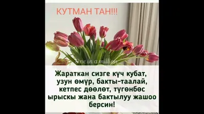 открытки кутман тан｜Поиск в TikTok