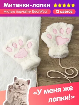 Лапки котика | Paw wallpaper, Iphone wallpaper kawaii, Wallpaper iphone cute