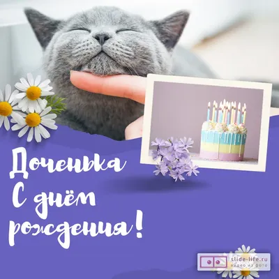 открытка на День рождения Ларисе - рыжий котик с розой желает счастья