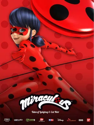 Костюм Леди Баг и Супер Кот: купить детские костюмы из мультфильма  Miraculous Ladybug в интернет магазине Toyszone.ru