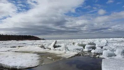 Ледоход на реке Лене в Якутии за сутки продвинулся на 20 км