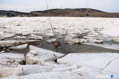 Ледоход на реке Оби достиг Колпашевского района. Фоторепортаж