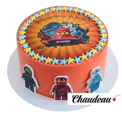 Съедобная вафельная картинка на торт Лего Ниндзяго. Украшение для торта  мальчику, девочке на день рождения. Вырезанный круг из вафельной бумаги  размером 14.5см. - купить с доставкой по выгодным ценам в интернет-магазине  OZON (