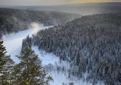 Лес — национальное богатство России