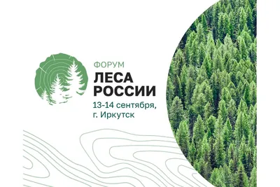 Пятёрочка», Zewa и FSC России восстановят леса России | Стратегия  устойчивого развития X5 Group