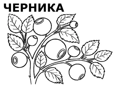 Отзывы о продукт к/м фрутоняня биолакт с 8 мес лесные ягоды 2,9 % 200 г -  отзывы покупателей на Мегамаркет | кисломолочные продукты для детей -  100026736918