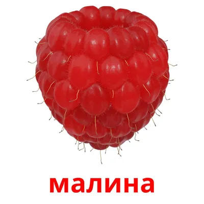 Шоу-лист \"Лесные ягоды\"