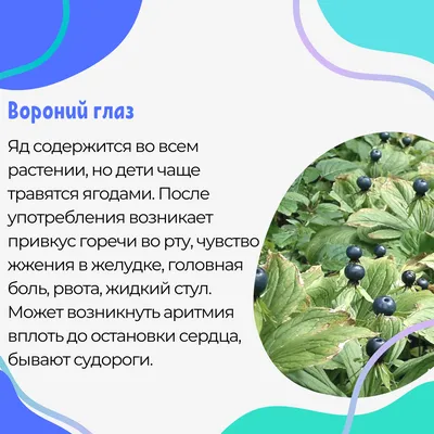 BUCCOTHERM зубная паста для детей 3+, вкус лесные ягоды с термальной  родниковой водой, 50 мл