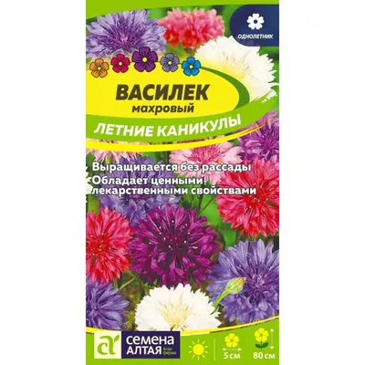 Летние креативные обои. арбуз с солнечным светом. кусочек фруктов со льдом  на синем фоне Стоковое Изображение - изображение насчитывающей съешьте,  картина: 232753213