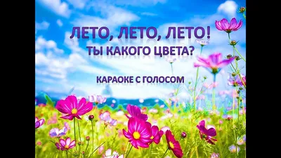 Лето где ты картинки