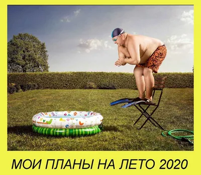 Прикольные и смешные картинки про лето 2020 года | Приколы до слёз | Дзен
