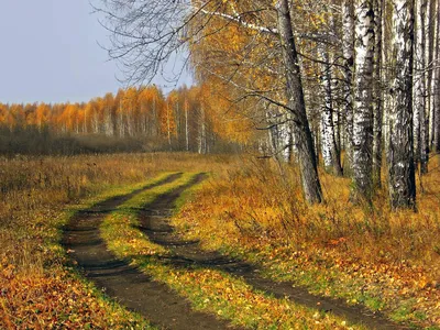 Уходит август, провожая лето