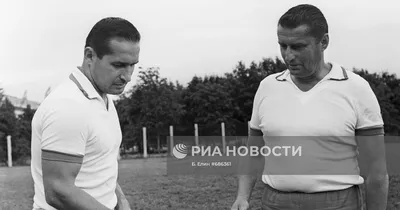 Лучшие изображения Льва Черепанова - выберите свой размер и скачайте бесплатно