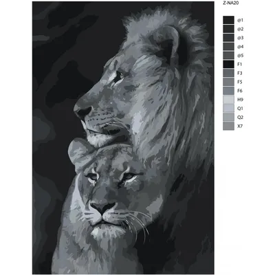 Лев и львица черно-белые 100х150 Раскраска картина по номерам на холсте  Z-NA20-100x150 купить в Москве и СПб