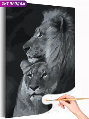 Живопись по номерам Лев и львица черно-белые Любовь Семья 40х60